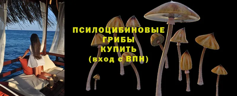 Галлюциногенные грибы GOLDEN TEACHER  Верхний Тагил 